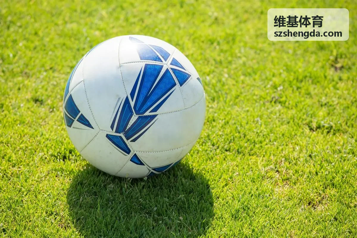 维基体育数据大屏与场馆背景